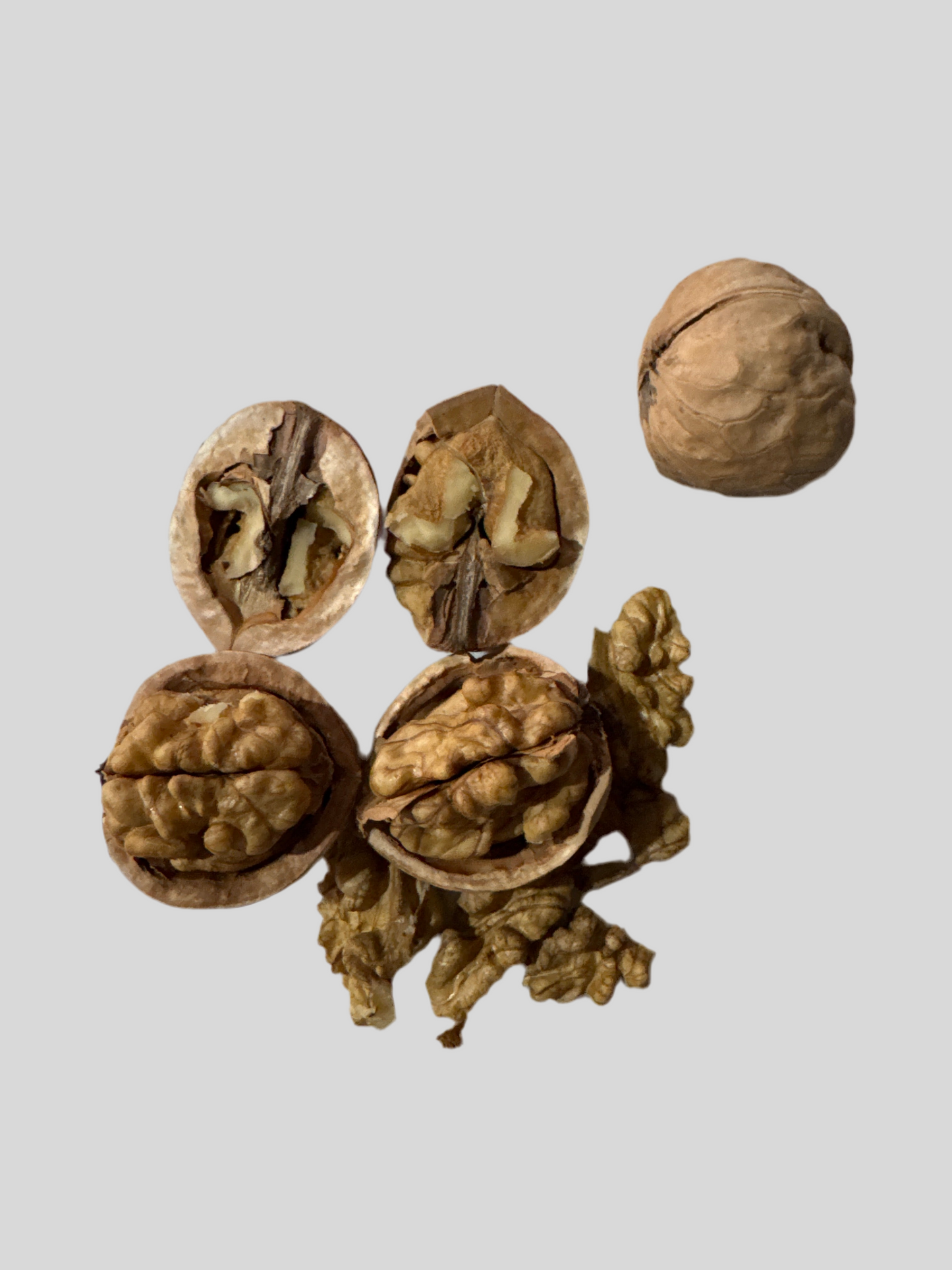 Kashmiri Walnut Kernels