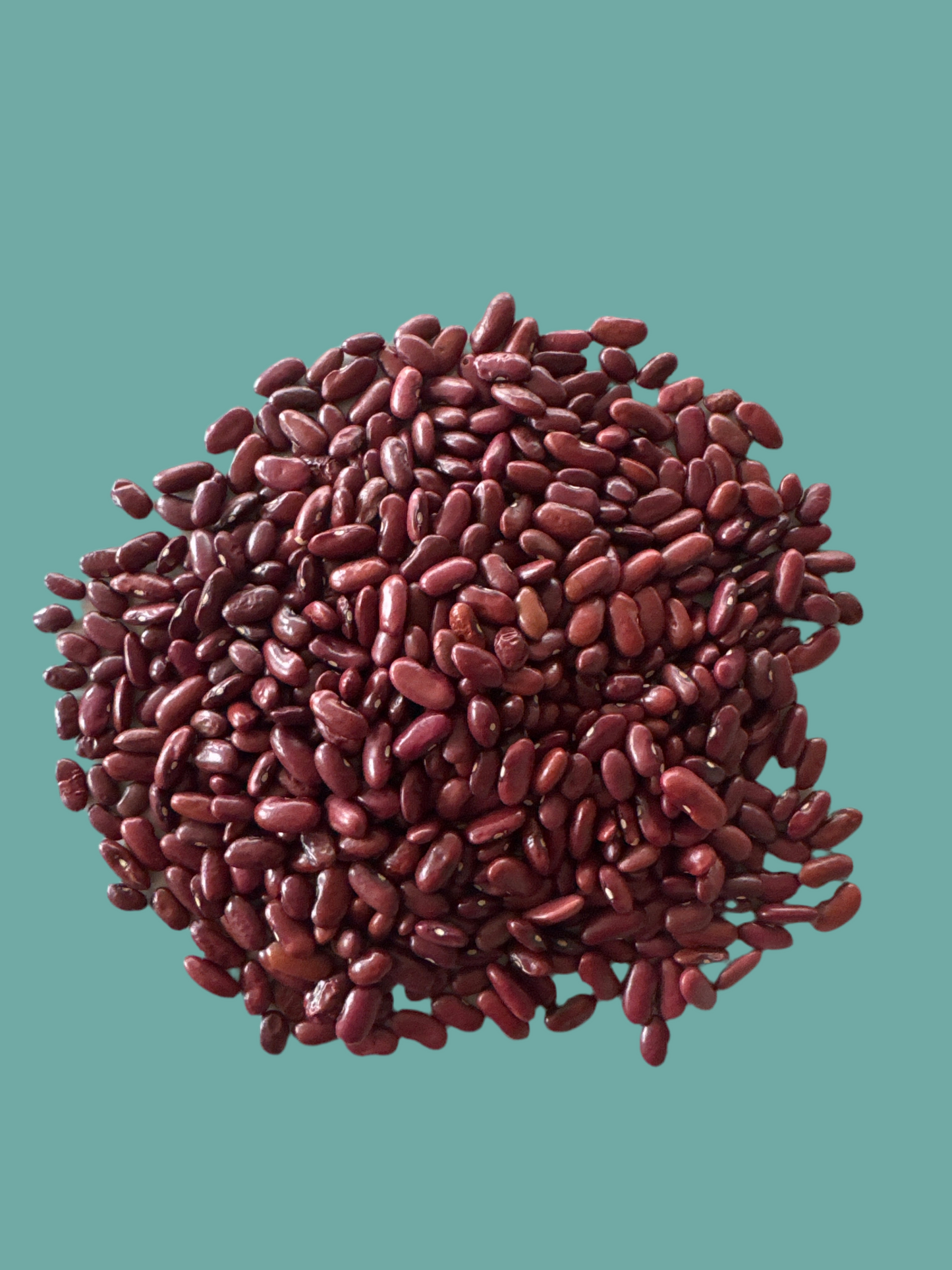 Kashmiri Beans